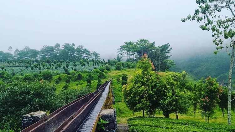 Liburan Nataru? 7 Tempat Camping Keluarga di Garut, Mulai Gunung, Pantai, hingga Kebun Teh Liburan Nataru? 7 Tempat Camping Keluarga di Garut, Mulai Gunung, Pantai, hingga Kebun Teh