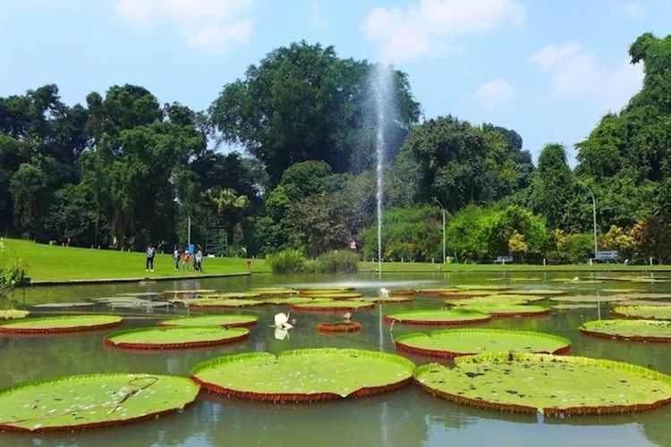 10 Destinasi Alam Bogor untuk Tahun Baru 2026, Ideal untuk Liburan dan Menenangkan Pikiran 10 Destinasi Alam Bogor untuk Tahun Baru 2026, Ideal untuk Liburan dan Menenangkan Pikiran