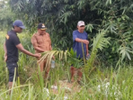 Temuan Kebun Sawit 6,5 Hektare, Distan Cirebon: Kami Juga Terkejut, Tiba-Tiba Ada Temuan Kebun Sawit 6,5 Hektare, Distan Cirebon: Kami Juga Terkejut, Tiba-Tiba Ada