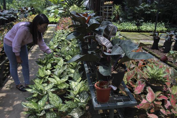 Bandung hingga Bekasi Miliki Udara Terbaik, Waktunya Beraktivitas di Luar Bandung hingga Bekasi Miliki Udara Terbaik, Waktunya Beraktivitas di Luar