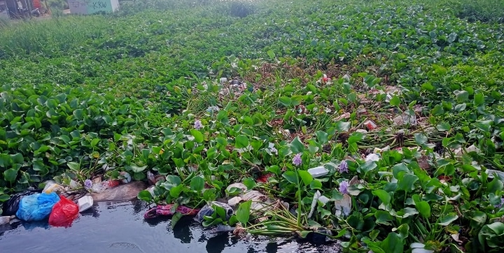 Warga dan Polisi Bersihkan Eceng Gondok di Saluran Air Cidempet Indramayu Warga dan Polisi Bersihkan Eceng Gondok di Saluran Air Cidempet Indramayu