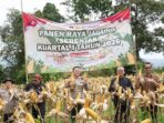 Bogor Gelar Panen Raya Jagung Perkuat Ketahanan Pangan Bogor Gelar Panen Raya Jagung Perkuat Ketahanan Pangan