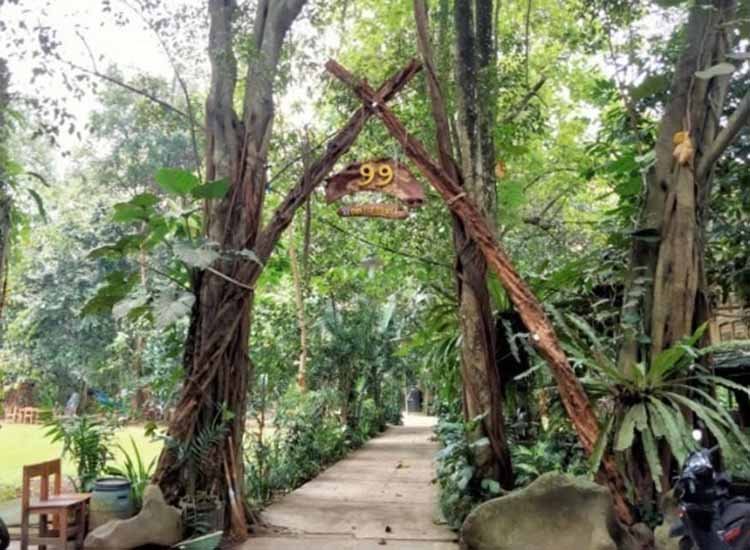 Kampung 99 Pepohonan: Wisata Alam Edukatif Dengan Konsep Kembali Ke Alam Di Meruyung Kampung 99 Pepohonan: Wisata Alam Edukatif Dengan Konsep Kembali Ke Alam Di Meruyung