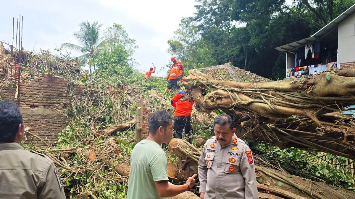 Langit Menggila, Pohon Raksasa Tumbang Hantam Rumah Warga Cirebon Saat Badai Mengamuk Langit Menggila, Pohon Raksasa Tumbang Hantam Rumah Warga Cirebon Saat Badai Mengamuk