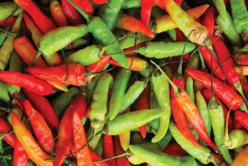 Imlek dan Ramadan Dekat, Dapur Pangan Cirebon Makin Sibuk Imlek dan Ramadan Dekat, Dapur Pangan Cirebon Makin Sibuk