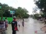 Banjir Grobogan Genangi 34 Desa, Hujan Masih Tinggi Banjir Grobogan Genangi 34 Desa, Hujan Masih Tinggi