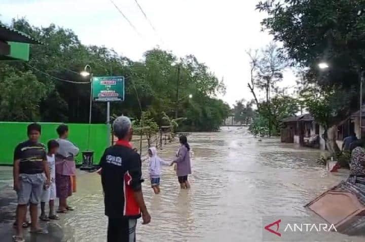 Banjir Grobogan Genangi 34 Desa, Hujan Masih Tinggi Banjir Grobogan Genangi 34 Desa, Hujan Masih Tinggi
