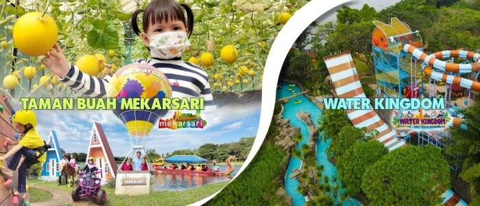 Taman Buah Mekarsari: Tempat Wisata Keluarga di Bogor yang Edukatif Taman Buah Mekarsari: Tempat Wisata Keluarga di Bogor yang Edukatif