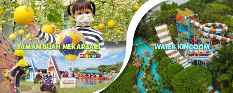 Taman Buah Mekarsari: Tempat Wisata Keluarga di Bogor yang Edukatif Taman Buah Mekarsari: Tempat Wisata Keluarga di Bogor yang Edukatif