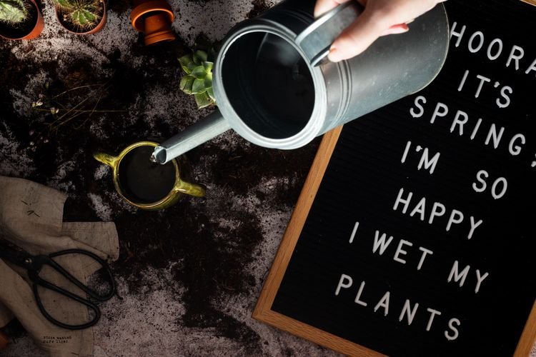 Jangan Buang Kopi ke Saluran Air! Ini Alasannya dan Cara Aman Membuangnya Jangan Buang Kopi ke Saluran Air! Ini Alasannya dan Cara Aman Membuangnya