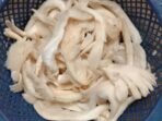 Resep Tumis Jamur Tiram Sederhana dan Lezat Resep Tumis Jamur Tiram Sederhana dan Lezat
