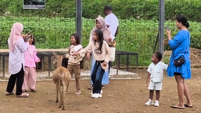 Menginap di Obim Villa dan Resto Kuningan, Nikmati Kolam Renang dan Mini Zoo Menginap di Obim Villa dan Resto Kuningan, Nikmati Kolam Renang dan Mini Zoo