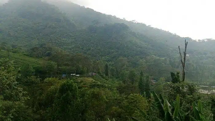 Hari Kedua Lebaran, Ini Prediksi Cuaca Bogor Pada Minggu 22 Maret 2026: Catat Wilayah yang Akan Hujan Hari Kedua Lebaran, Ini Prediksi Cuaca Bogor Pada Minggu 22 Maret 2026: Catat Wilayah yang Akan Hujan