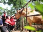 Seleksi Pengelola Kebun Binatang Bandung: Pemkot Prioritaskan Konservasi Hewan Seleksi Pengelola Kebun Binatang Bandung: Pemkot Prioritaskan Konservasi Hewan