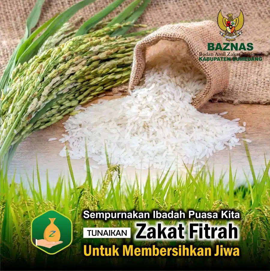 Baznas Indramayu Kumpulkan Zakat Fitrah Lebih dari 36 Miliar Rupiah Baznas Indramayu Kumpulkan Zakat Fitrah Lebih dari 36 Miliar Rupiah