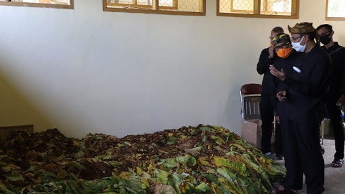 Dari Garut ke Asia Tenggara, Sami Raos Tembus Pasar Melalui Agen dan Jastiper Dari Garut ke Asia Tenggara, Sami Raos Tembus Pasar Melalui Agen dan Jastiper