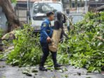 Antisipasi Cuaca Ekstrem, DPRD Minta Pemkot Bandung Awasi Pohon dan Billboard Antisipasi Cuaca Ekstrem, DPRD Minta Pemkot Bandung Awasi Pohon dan Billboard
