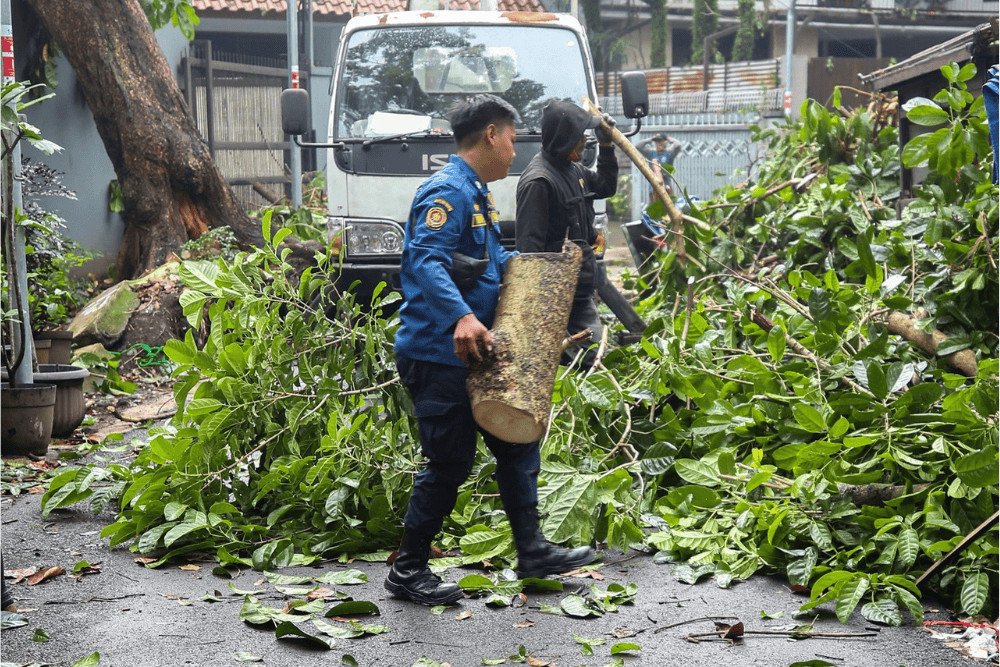 Antisipasi Cuaca Ekstrem, DPRD Minta Pemkot Bandung Awasi Pohon dan Billboard Antisipasi Cuaca Ekstrem, DPRD Minta Pemkot Bandung Awasi Pohon dan Billboard