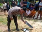 Kecelakaan Maut di Cadas Pangeran, Ayah dan Anak Jadi Korban Kecelakaan Maut di Cadas Pangeran, Ayah dan Anak Jadi Korban