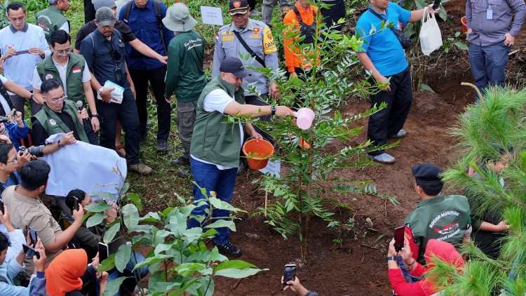 Rudy Susmanto Realisasikan 156,44 Hektare Hutan Kota dengan 45.152 Pohon