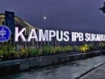 Kampus IBP Sukabumi: Panduan Lengkap Program Studi hingga Biaya Kampus IBP Sukabumi: Panduan Lengkap Program Studi hingga Biaya