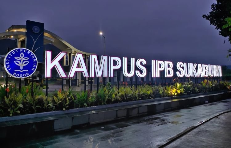 Kampus IBP Sukabumi: Panduan Lengkap Program Studi hingga Biaya Kampus IBP Sukabumi: Panduan Lengkap Program Studi hingga Biaya