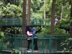 Hebat! 3 Destinasi Wisata di Babakan Ciamis, Ideal untuk Bersantai dan Menikmati Keindahan Hebat! 3 Destinasi Wisata di Babakan Ciamis, Ideal untuk Bersantai dan Menikmati Keindahan