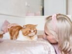 Mengapa Kucing Mengelus Pemiliknya? Ini Penjelasannya Mengapa Kucing Mengelus Pemiliknya? Ini Penjelasannya