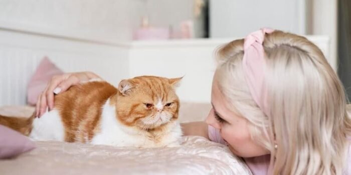 Mengapa Kucing Mengelus Pemiliknya? Ini Penjelasannya Mengapa Kucing Mengelus Pemiliknya? Ini Penjelasannya