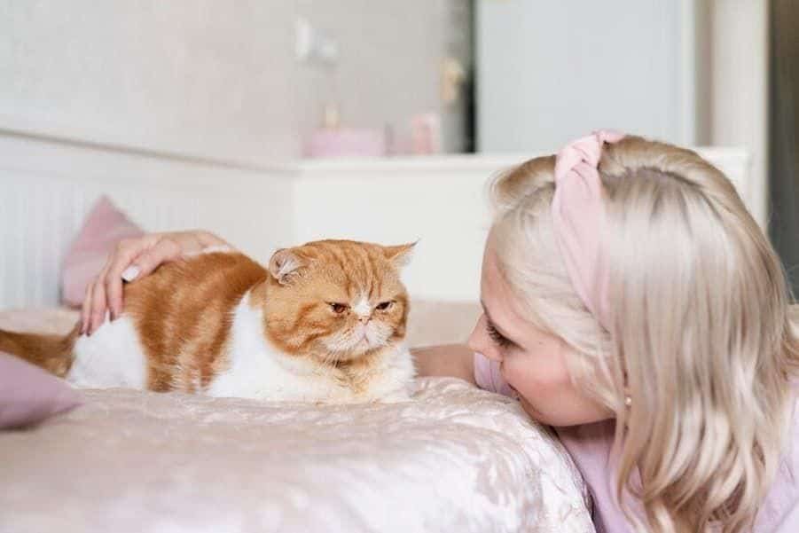 Mengapa Kucing Mengelus Pemiliknya? Ini Penjelasannya Mengapa Kucing Mengelus Pemiliknya? Ini Penjelasannya