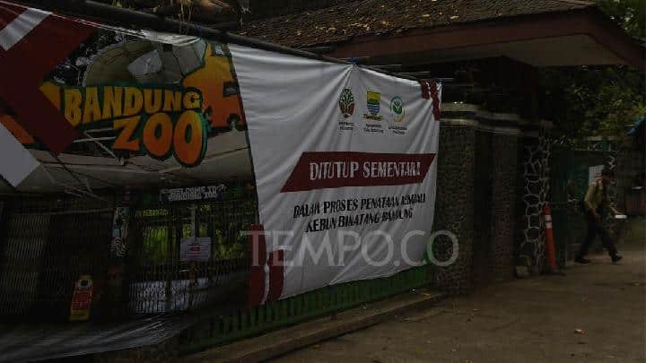 Lelang Pengelola Bandung Zoo Diwarnai Translokasi Satwa Lelang Pengelola Bandung Zoo Diwarnai Translokasi Satwa