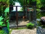 Restoran Hutan Jati dengan Masakan Mediterania di Colomadu Karanganyar
