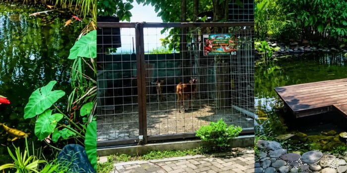 Restoran Hutan Jati dengan Masakan Mediterania di Colomadu Karanganyar