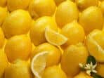 Lemon Teh: Segar Asam, Membuat Ketagihan! Minuman Populer Saat Musim Panas, Peluang Cuan Tinggi Lemon Teh: Segar Asam, Membuat Ketagihan! Minuman Populer Saat Musim Panas, Peluang Cuan Tinggi
