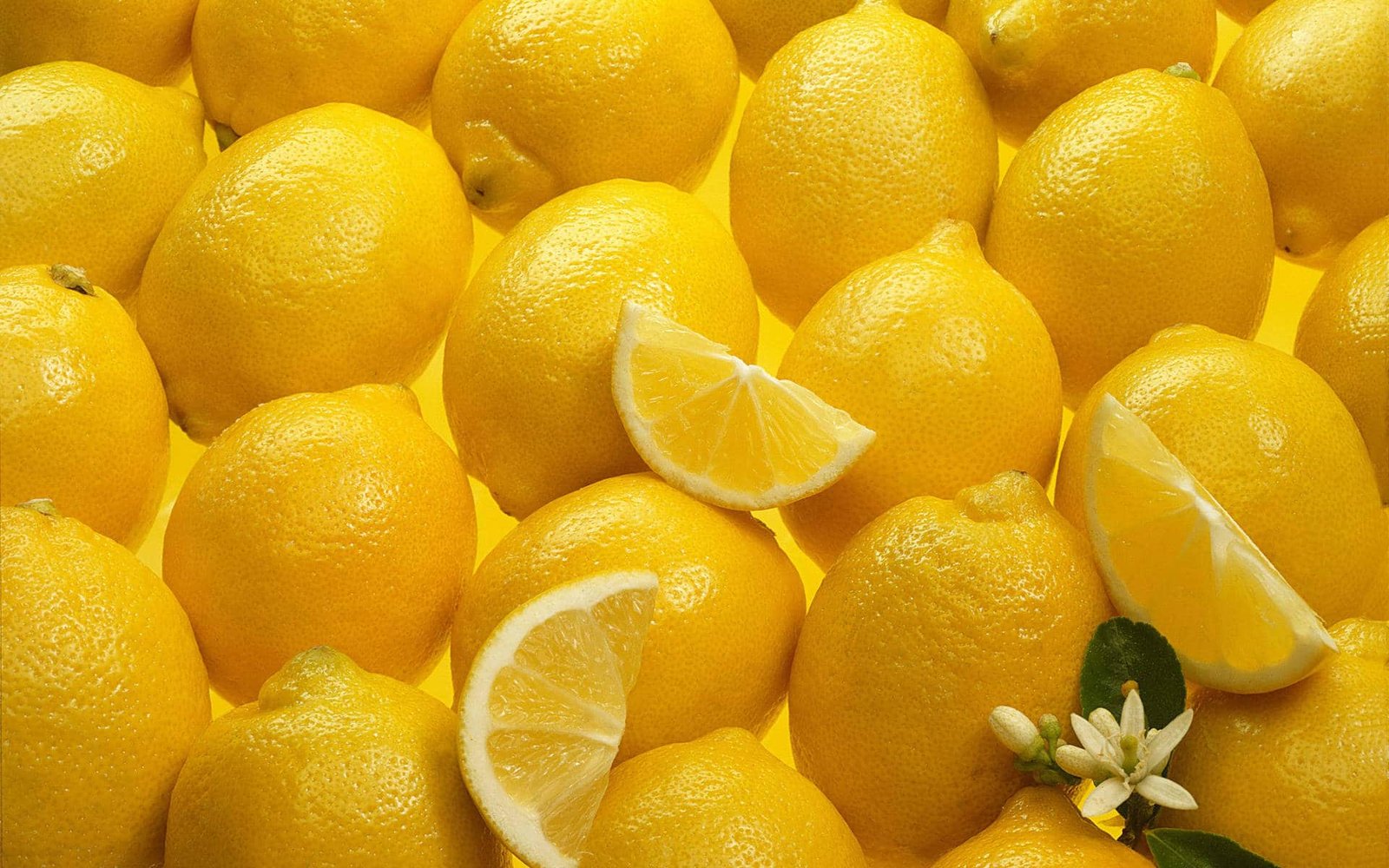 Lemon Teh: Segar Asam, Membuat Ketagihan! Minuman Populer Saat Musim Panas, Peluang Cuan Tinggi Lemon Teh: Segar Asam, Membuat Ketagihan! Minuman Populer Saat Musim Panas, Peluang Cuan Tinggi