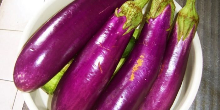Terong Lapis Ayam: Gurih, Praktis, dan Bergizi ala Devina Hermawan Terong Lapis Ayam: Gurih, Praktis, dan Bergizi ala Devina Hermawan