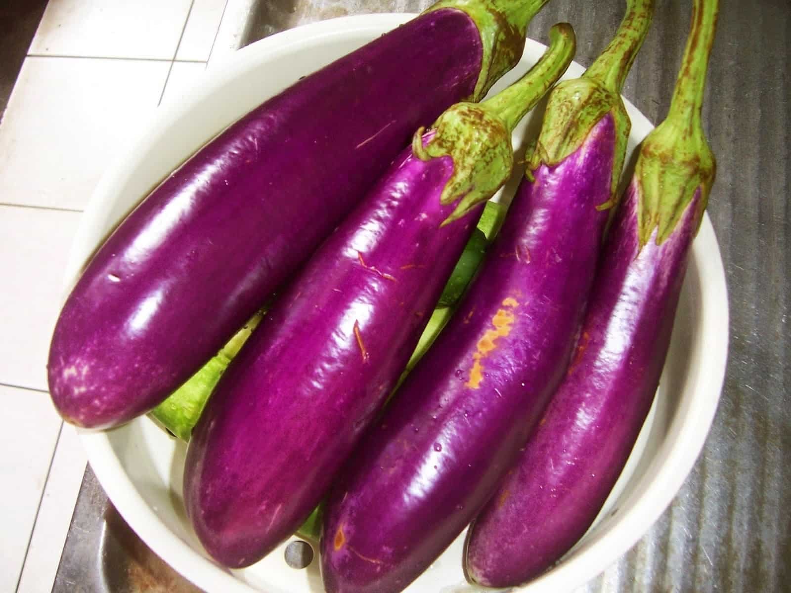 Terong Lapis Ayam: Gurih, Praktis, dan Bergizi ala Devina Hermawan Terong Lapis Ayam: Gurih, Praktis, dan Bergizi ala Devina Hermawan