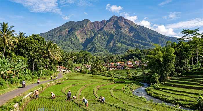 Menyingkap Gunung Salak: Keindahan, Jejak Sejarah Kerajaan, Tragedi, dan Misteri Kuno Menyingkap Gunung Salak: Keindahan, Jejak Sejarah Kerajaan, Tragedi, dan Misteri Kuno