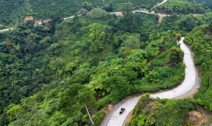 Menjelajahi Kebun Teh Nirmala Malasari Nanggung Bogor yang Kini Mulus Diakses Menjelajahi Kebun Teh Nirmala Malasari Nanggung Bogor yang Kini Mulus Diakses