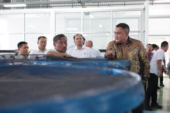 Perkuat Sektor Perikanan, Bupati Bogor Kunjungi Raiser Ikan Hias BRIN Perkuat Sektor Perikanan, Bupati Bogor Kunjungi Raiser Ikan Hias BRIN