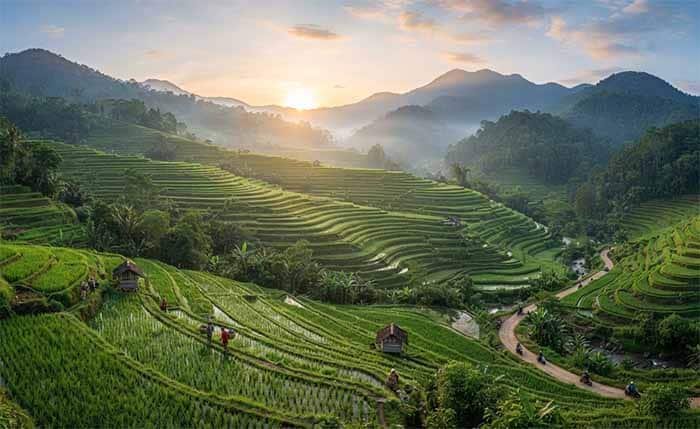 Pesona Terasering Sawah di Bogor Terbaik Untuk Ide Healing Akhir Pekan Pesona Terasering Sawah di Bogor Terbaik Untuk Ide Healing Akhir Pekan