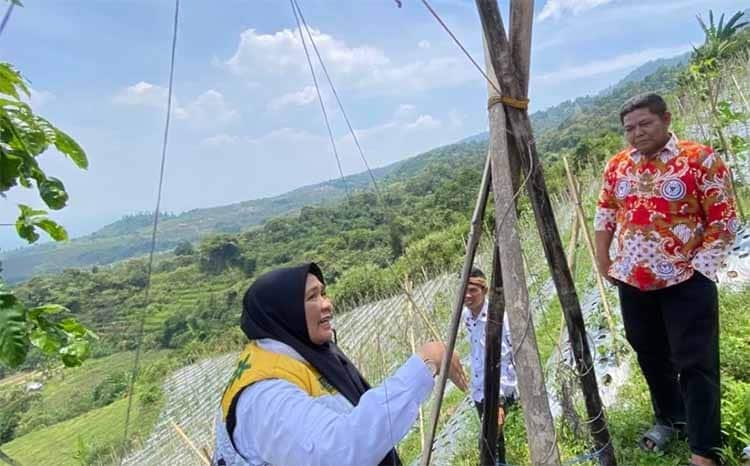 Camat Cidahu Pantau Agrowisata Kaki Gunung Salak, Dongkrak Sektor Pariwisata Camat Cidahu Pantau Agrowisata Kaki Gunung Salak, Dongkrak Sektor Pariwisata