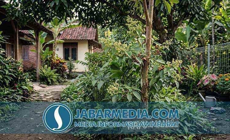 Kayu Manis: Benarkah Rempah Ajaib Ini Kunci Kesehatan Optimal? Kayu Manis: Benarkah Rempah Ajaib Ini Kunci Kesehatan Optimal?