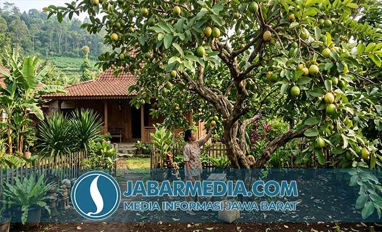 Benarkah Jambu Biji Solusi Alami Diare dan Kaya Nutrisi Penting?